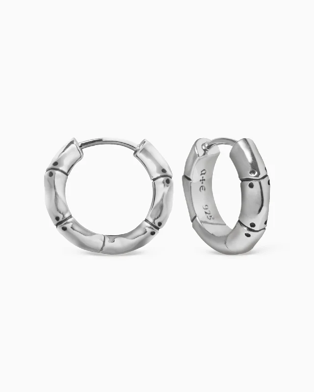 women hoop earrings for women -Cobolt Earrings